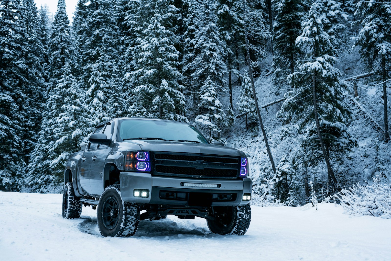 Lifted gray pickup in snowy forest